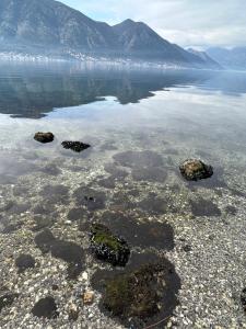 Apartment Boka Holiday