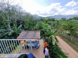 TonNgaChang -Les Cat Cocoa Farmstay