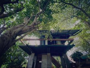 BREATHE - Rice Valley