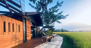 BREATHE - Rice Valley