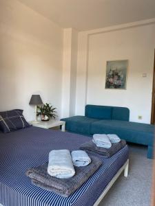 OKSA APARTMENT