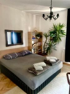 OKSA APARTMENT