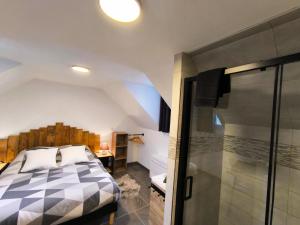 Appartements Gite Bonheur et Charme Spa-Sauna forfait 2h inclus : photos des chambres