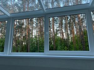 Peaceful Apartment Lazdynai