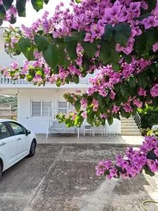 Apartments Ivana - Bratica