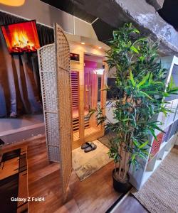 Appartements StarWars SAUNA Jacuzzi balneo a 10 minutes de Disneyland : photos des chambres