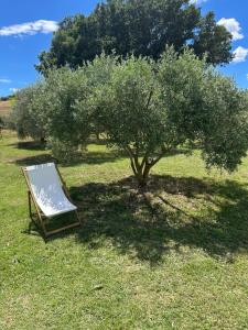 Maisons de vacances Sous les etoiles en Provence, gite les Grands chenes : photos des chambres