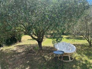 Sous les étoiles en Provence, gîte les Grands chênes
