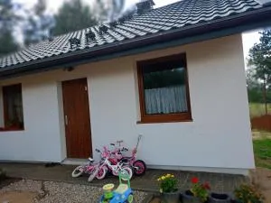 Sosnowy zakątek odpocznij tu - Czystebłota