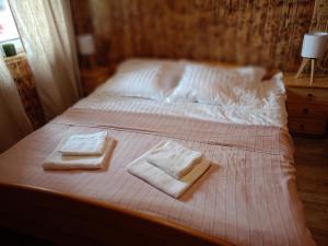 Sosnowy zakątek odpocznij tu