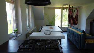 Apartment with mountain view and rivers close by