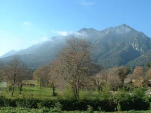 Maisons de vacances A Casuccia - Maison traditionnelle Corse avec piscine privee : Maison de Vacances
