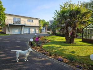 Appartements A l-escale fleurie : photos des chambres