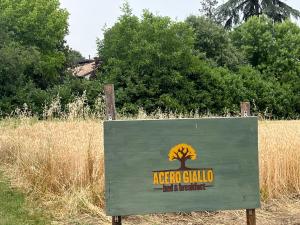 Acero Giallo