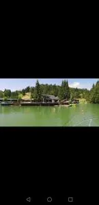 Simply zen - 科利比塔