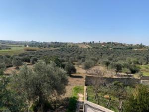 Marzamemi Rooms