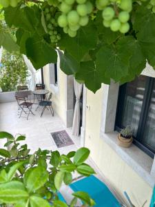 Hisa STERNA - WELL HOUSE 