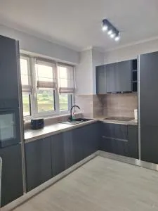 City Luxury Apartment - Livezeni