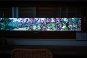 B&B / Chambres d'hotes Les Chemins de Berdis : photos des chambres