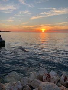 Holiday Home Ivko, only 300m from the Beach