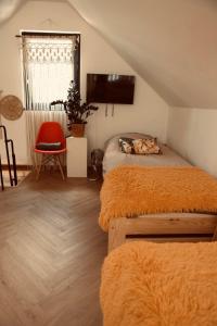 Dom Fotografa w Modrzewiach