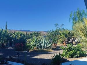 Cortijo Oro Verde B&B