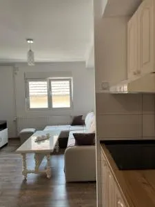 Apartmani Vrla NEW - 弗拉西纳里德