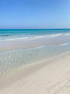 Magnifique appartement - terrasse vue mer