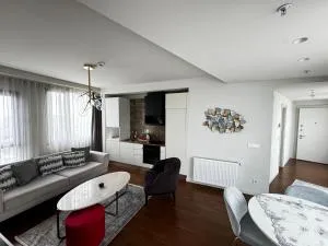 dikkat çekmesini - 巴斯克希尔