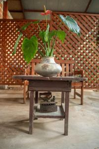 Magico Bosque - Bungalow