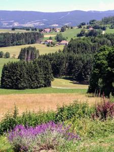 Ferienwohnung Waldhauser