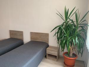 Good luck apartament