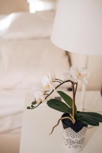 Crown Central three bedroom Apartment