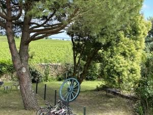 Maisons d'hotes Maison JEROBOAM : photos des chambres