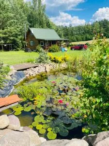 DOMEK bez ADRESU i SĄSIADÓW - Pawłowo