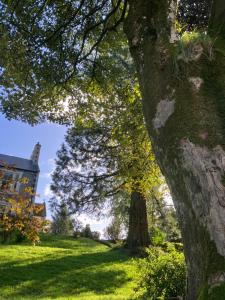 Above & Beyond at Warriston Lodge