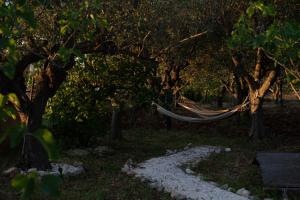 B&B Villa Dan - Rooms in Monopoli