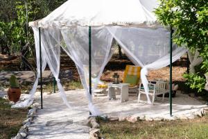 B&B Villa Dan - Rooms in Monopoli