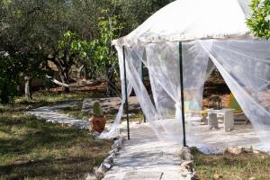 B&B Villa Dan - Rooms in Monopoli