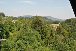 Ferienwohnung Rosenbach