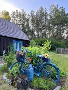 24mousehouse - Urokliwy domek w sercu Borów Tucholskich