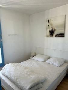 Appartements L-Albatros : photos des chambres