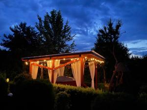 Zakątek na skraju lasu