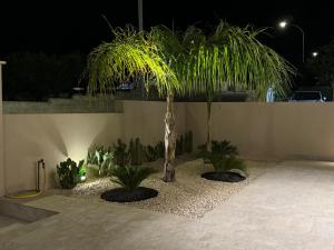 Coral Sand bed and breakfast