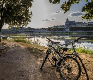 Maisons de vacances Gite Ker Sologne Aux portes de Chambord : photos des chambres