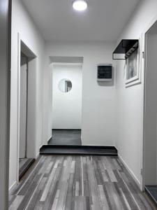 ROYAL RACiNG SUITE TOP 5