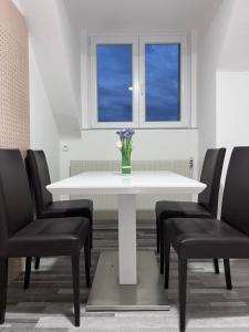 ROYAL RACiNG SUITE TOP 5