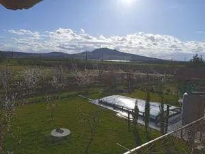 Merunky pod Palavou - Šakvice