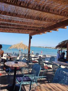 Apartmani Andrej NIN