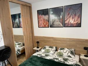 DiM Augustów Śródmieście